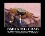 Smoking_Crab___demotivational_by_random_kojak.jpg