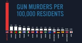 gun_murders_by_nation.webp