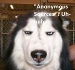 anonymous source dog.jpg