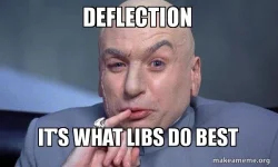 deflectiion libs.webp
