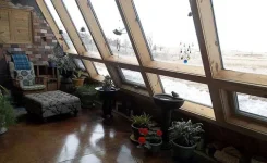 Looking_Out_Windows.webp