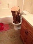 Toilet Log.jpg