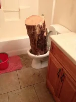 Toilet Log.webp