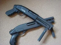 SBSG.webp