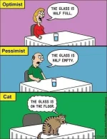 catglass.webp