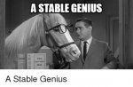 a-stable-genius-you-a-stable-genius-30077201.jpg