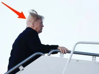 bald spot.webp
