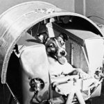 img_the_story_of_laika_the_first_dog_in_space_1756_600.jpg