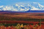 Autumn in Alaska.jpg