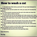 how to wash a cat.jpg