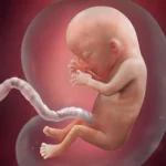 pregnancy-week-13-fingerprints_square.webp