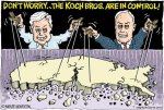 koch.jpg