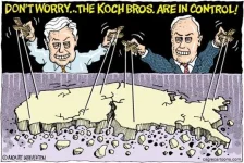 koch.webp