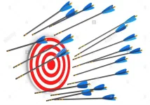 bullseyemiss.webp