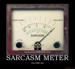 sarcasm-meter-sarcasm-meter-demotivational-poster-1223486438.jpg