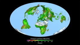 change_in_leaf_area.webp