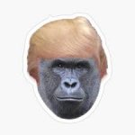 trump as ape.jpg