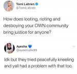 tomi.jpg