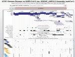 SARS-CoV-2 genome map-3.jpg