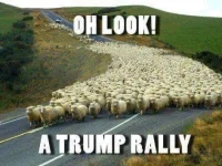 Trump Rally.webp