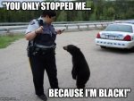 You-Only-Stopped-Me-Because-I-Am-Black-Funny-Cop-Meme-Image-For-Facebook.jpg