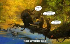 fantasyworld1C.webp