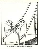 Far Side Spiders Web Slide.webp