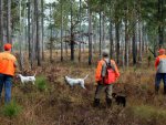 S_Quail-Hunters-Best-Small-Photo.jpg