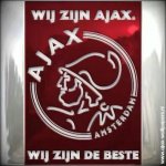 6dc8cf199a6b29fe64fa08c8357daacf--afc-ajax-amsterdam.jpg