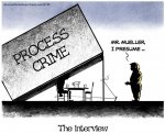 Mueller trap.jpg