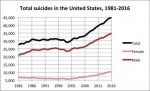 Total_suicides_in_the_United_States_1981_2016.jpg