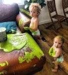 looks like fun finger painting the couch.jpg