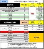 20-08-30 B1 - COVID vs Other Causes.webp