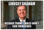 lindsey.jpg