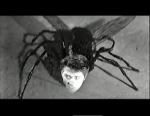 the fly.png