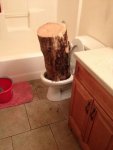 Toilet log.jpg