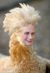 dawkins-chicken.jpg