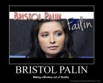 demotivational-poster-6nf5chvw04-BRISTOL-PALIN.jpg