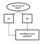 biden is your presdient.webp