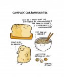 carbohydrates complex carbs.jpg