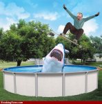Jumping-the-Shark.jpg