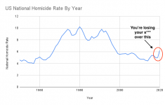 US National Homicide Rate By Year.png