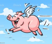 pigs fly.jpg