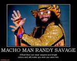 macho-man-randy-savage-macho-man-randy-savage-tribute-demotivational-posters_slim_jim_rip_elizab.jpg