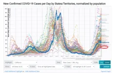 cases_per_capita_vermont_2.webp
