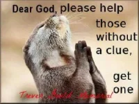 Get a clue.webp
