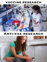 vaccine-research-anti-vax-meme-b64f65d38fe0644d-89b2c781020827ae.jpg