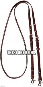 reins.jpg