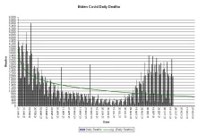 21-10-23 B2b - Biden Daily Deaths GRAPH.webp
