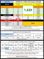 21-10-26 A2 - COVID vs Other Causes TABLE.webp